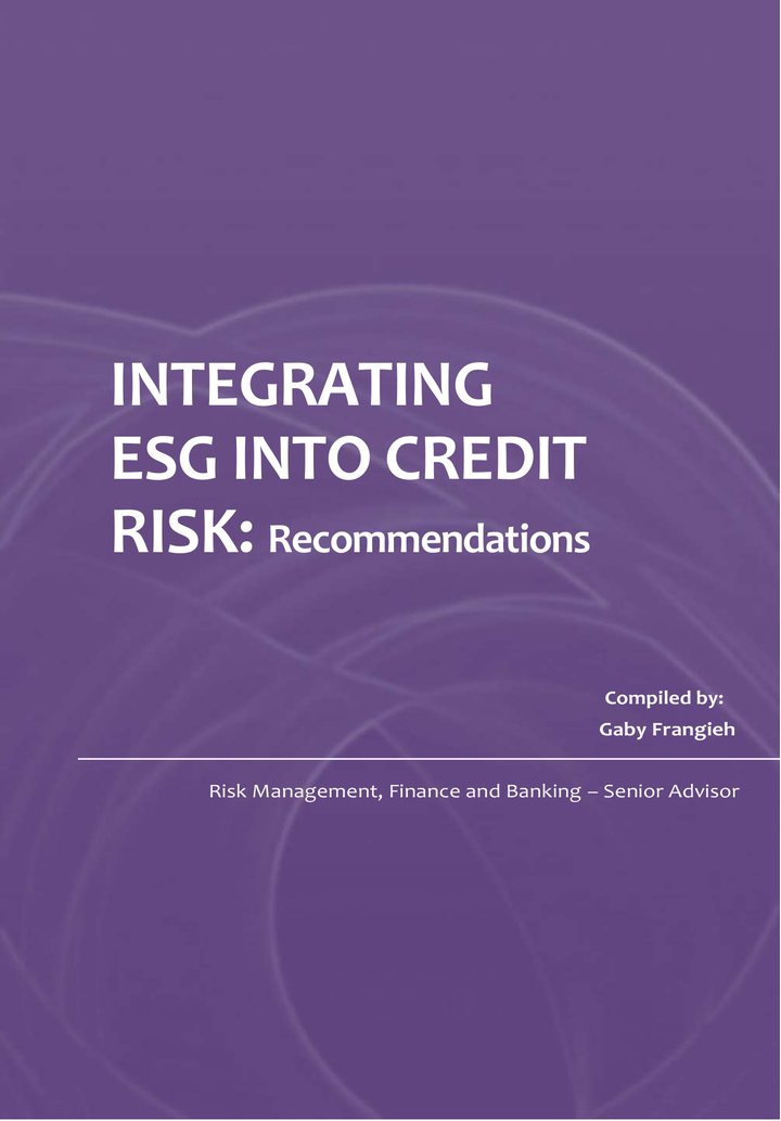 Primera página del documento: Integrating ESG into Credit Risk: Recommendations